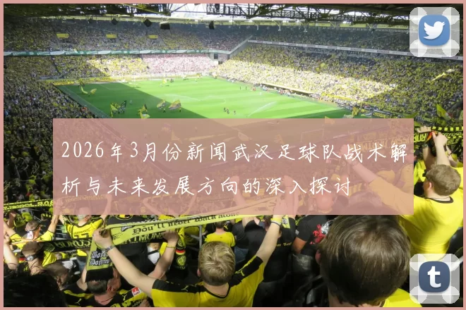 2026年3月份新闻武汉足球队战术解析与未来发展方向的深入探讨